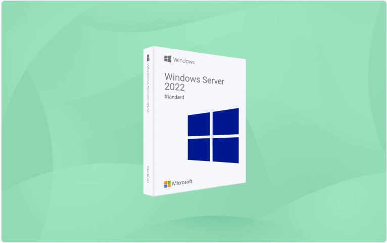 A white software box for Windows Server 2022 Standard with a blue Windows logo and Microsoft branding is displayed against a light green abstract background.