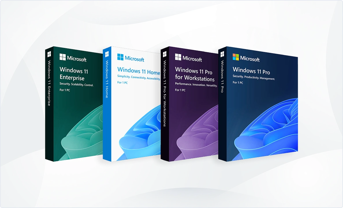 Four boxed versions of Microsoft Windows 11—Enterprise, Home, Pro for Workstations, and Pro—stand side by side on a light abstract background, each featuring distinct accent colors and partial Windows 11 logo graphics.