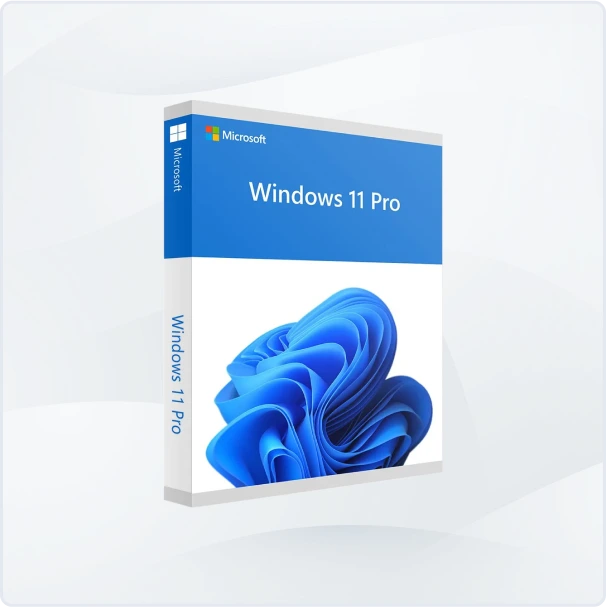 A retail box for Microsoft Windows 11 Pro software, featuring the Windows logo, product name, and an abstract blue design on the front against a light background.