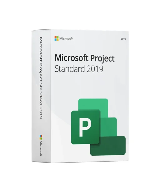 A retail box of Microsoft Project Standard 2019 featuring the Microsoft logo, product name, version year, and a green P icon on the front. The box is shown standing on a white background.